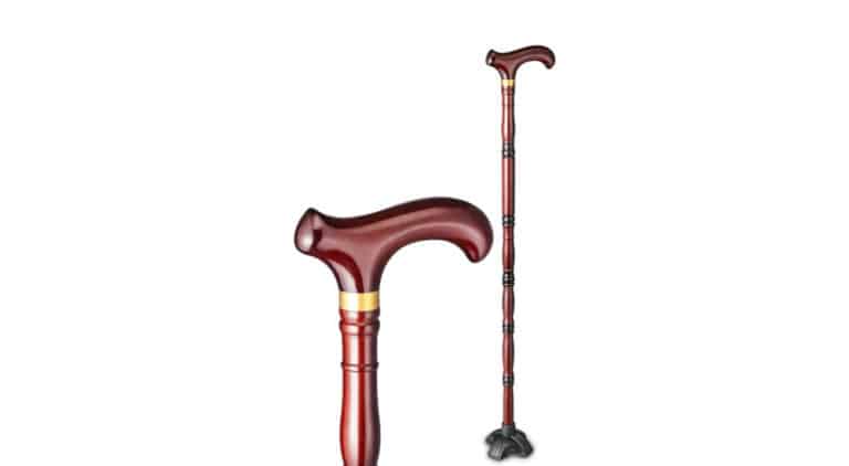 Canne En Bois Laquelle Choisir canne-en-bois-laquelle-choisir