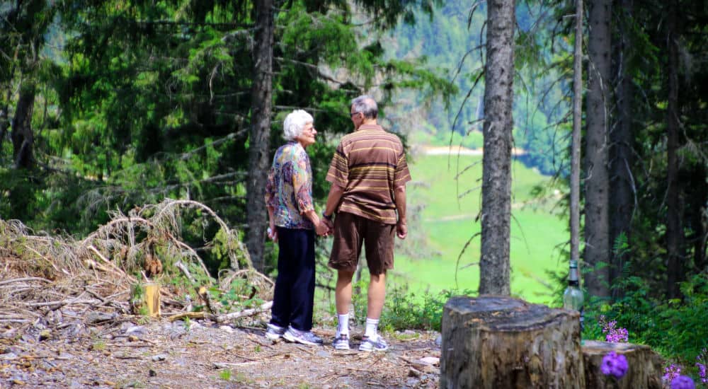 Un couple de personnes âgées se balade en forêt.